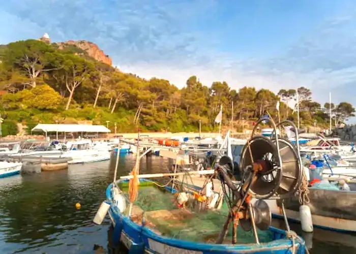Paradis Bleu Et Ile D'or Κάμπινγκ *
